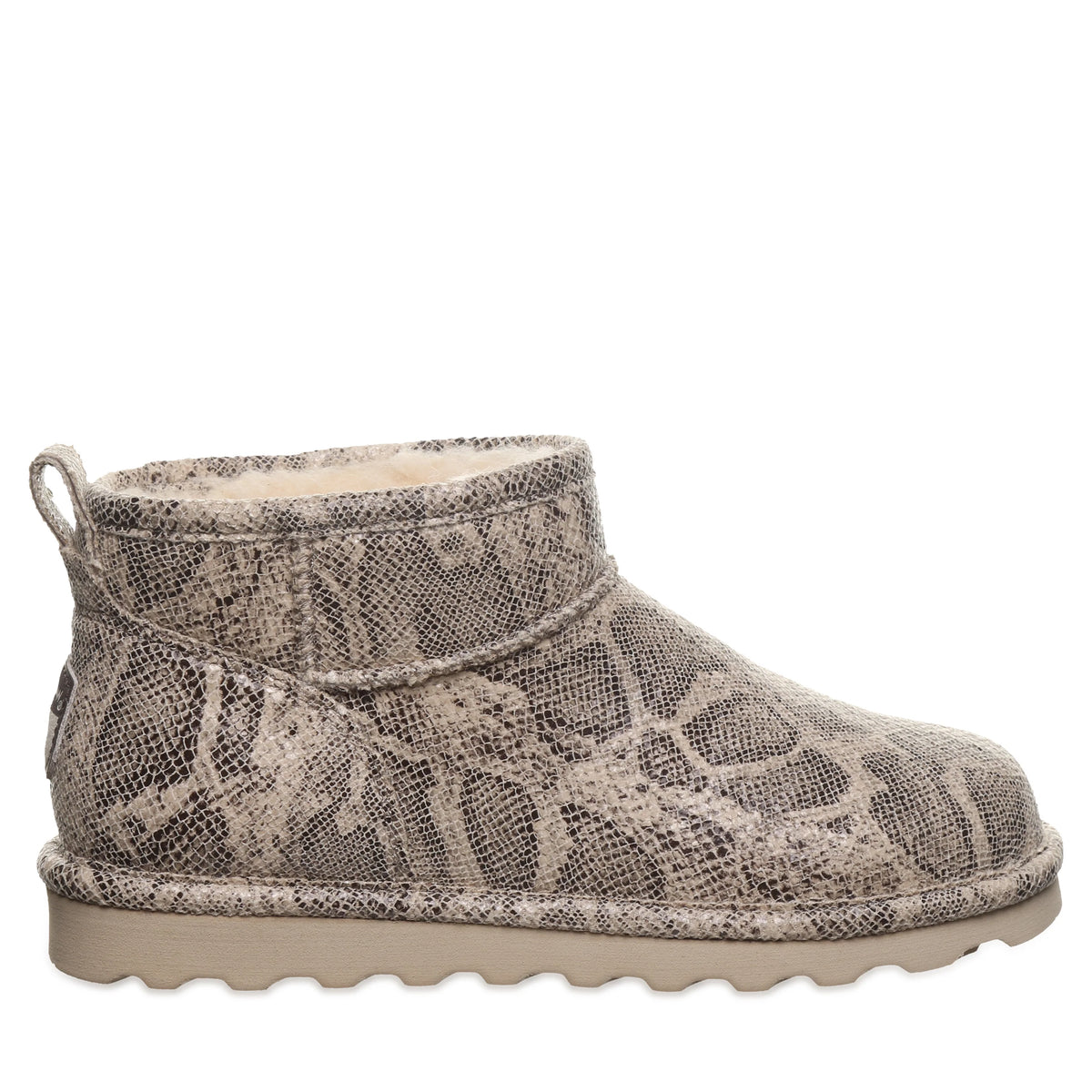SHORTY EXOTIC OAT SNAKE